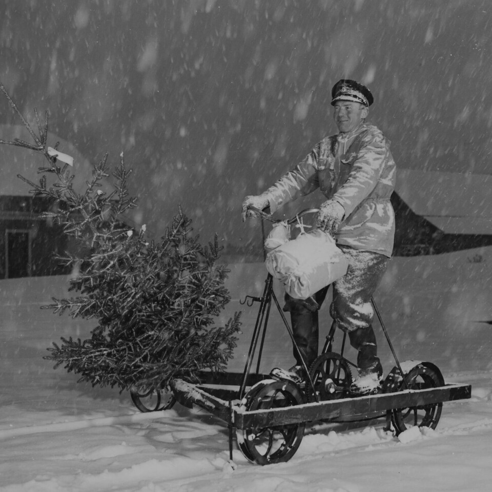 Baneformannen på Ustaoset syklende på sin dresin med årets juletre, som han måtte få sendt med toget. Baneformannen på Ustaoset syklende på sin dresin med årets juletre, som han måtte få sendt med toget.