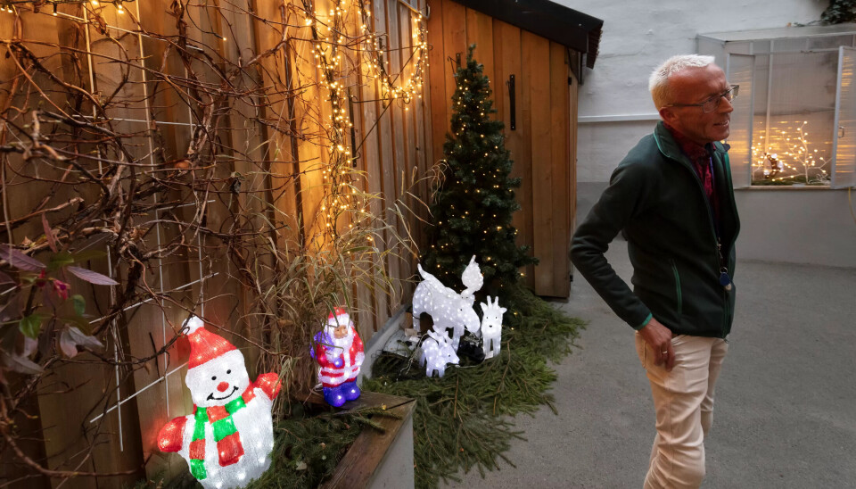 JULEMODUS: LED-lys er også ny teknologi. Seksjonssjef Svein Rune Bjørkmo foran noen av juledekorasjonene i bakgården til huset. JULEMODUS: LED-lys er også ny teknologi. Seksjonssjef Svein Rune Bjørkmo foran noen av juledekorasjonene i bakgården til huset.