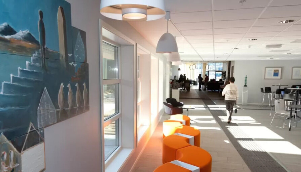 ANSATTE I STREIK: Blant annet ansatte i resepsjon, kjøkken og kurs ved Hurdal syn- og mestringssenter streiker fra mandag av. Her fra inngangsområdet. ANSATTE I STREIK: Blant annet ansatte i resepsjon, kjøkken og kurs ved Hurdal syn- og mestringssenter streiker fra mandag av. Her fra inngangsområdet.