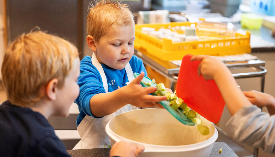 RUTINERTE: Hjemmelagde supper er nærmest blitt en spesialitet i Skramstad barnehage. Ukentlig serveres det supper med sesongens råvarer fra egen kjøkkenhage. RUTINERTE: Hjemmelagde supper er nærmest blitt en spesialitet i Skramstad barnehage. Ukentlig serveres det supper med sesongens råvarer fra egen kjøkkenhage.