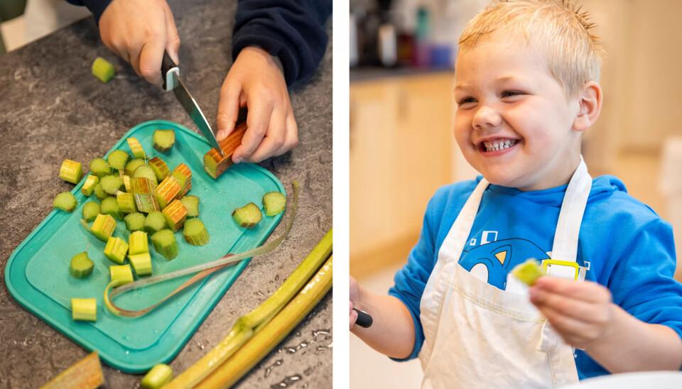 MER MATGLEDE: Å delta i hele prosessen fra såing og planting, via dyrking, høsting og tillaging gjør barna mer åpne for nye smaker, mener pedagogisk leder Karianne. Emrik er glad i rabarbra, men kjærlighetssuppe er favoritten. MER MATGLEDE: Å delta i hele prosessen fra såing og planting, via dyrking, høsting og tillaging gjør barna mer åpne for nye smaker, mener pedagogisk leder Karianne. Emrik er glad i rabarbra, men kjærlighetssuppe er favoritten.