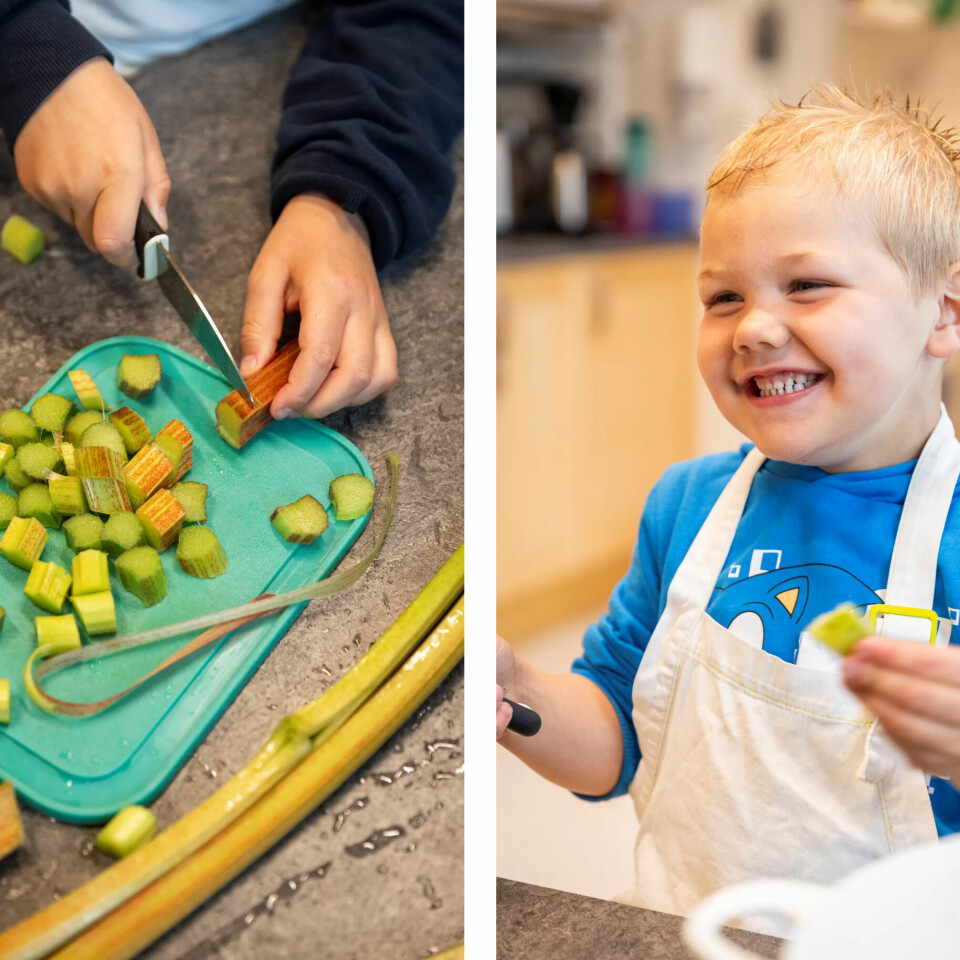 MER MATGLEDE: Å delta i hele prosessen fra såing og planting, via dyrking, høsting og tillaging gjør barna mer åpne for nye smaker, mener pedagogisk leder Karianne. Emrik er glad i rabarbra, men kjærlighetssuppe er favoritten. MER MATGLEDE: Å delta i hele prosessen fra såing og planting, via dyrking, høsting og tillaging gjør barna mer åpne for nye smaker, mener pedagogisk leder Karianne. Emrik er glad i rabarbra, men kjærlighetssuppe er favoritten.