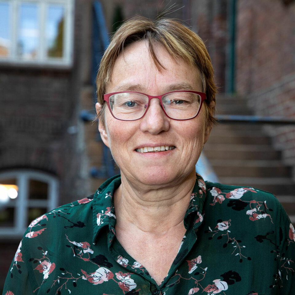EKSPERT: Kristine Nergaard i Fafo. EKSPERT: Kristine Nergaard i Fafo.