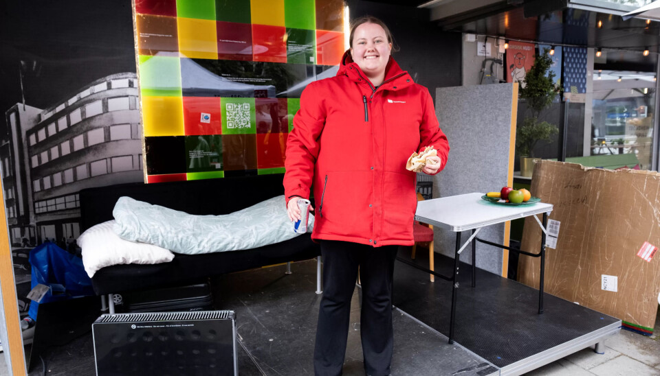 Kristin Leistad sitter i ungdomsutvalget i Fagforbundet Trondheim. Kristin Leistad sitter i ungdomsutvalget i Fagforbundet Trondheim.