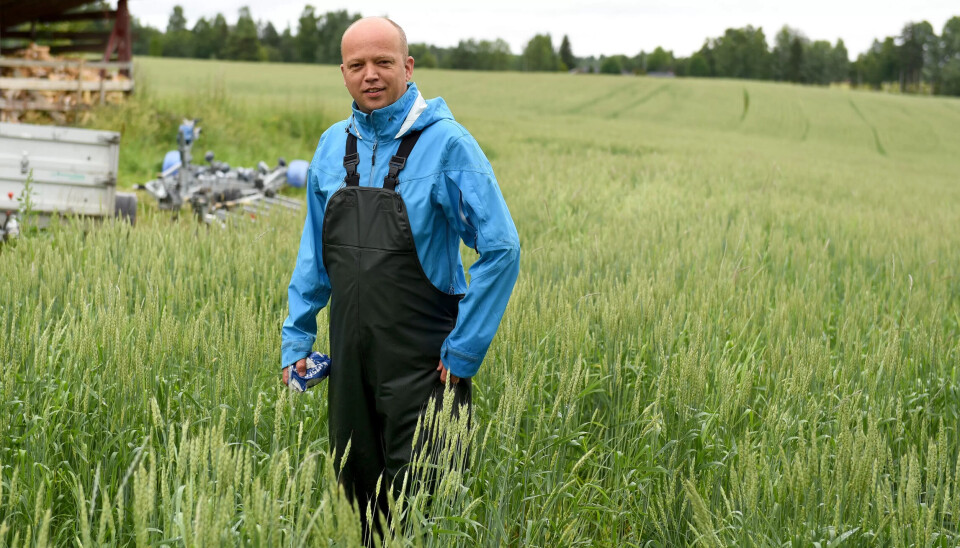 Trygve Slagsvold Vedum har vært Sp-leder siden 2014. Han trives også på jordet. Trygve Slagsvold Vedum har vært Sp-leder siden 2014. Han trives også på jordet.