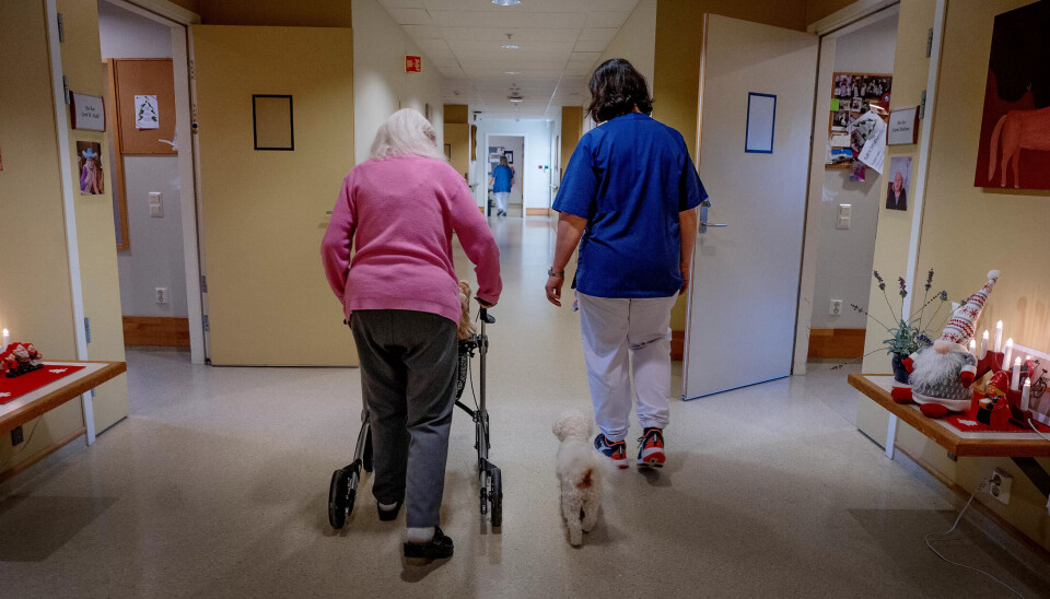 KVA VENTAR OSS?: Når dei som er 50 år i dag vil pensjonere seg vil det vere nesten dobbelt så mange på over 80 år som i dag. KVA VENTAR OSS?: Når dei som er 50 år i dag vil pensjonere seg vil det vere nesten dobbelt så mange på over 80 år som i dag.