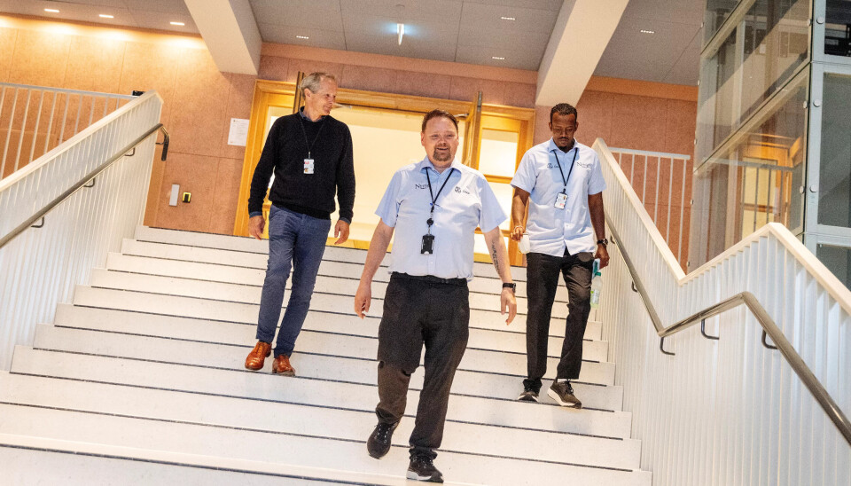 BETYR ALT:– Han betyr alt, sier Alf Jon Hansen (foran) om Dugald Hultberg, som har gått gradene og nå er arbeidsleder. Her i en trapp i Oslo Rådhus med sjefen sjøl og kollega Mohammed Hussein Ali (t.v) BETYR ALT:– Han betyr alt, sier Alf Jon Hansen (foran) om Dugald Hultberg, som har gått gradene og nå er arbeidsleder. Her i en trapp i Oslo Rådhus med sjefen sjøl og kollega Mohammed Hussein Ali (t.v)