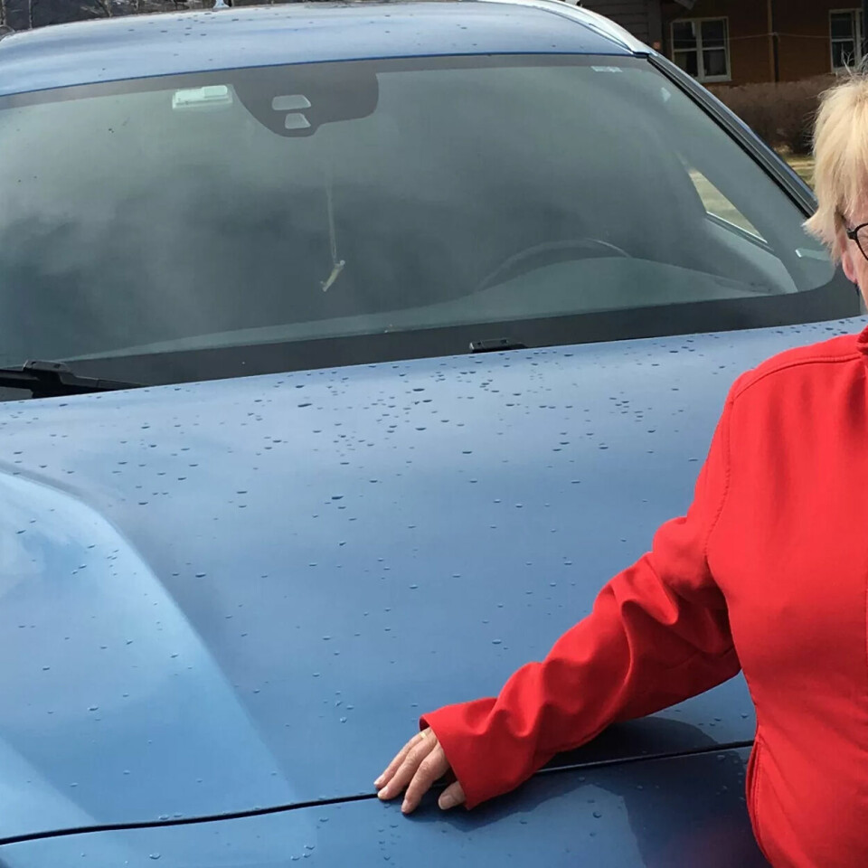 DRIVE-IN PÅ LALM: Rita Danielsen Benrud arrangerer biltog i Lalm som hun beskriver som et sentrum for arbeiderbevegelsen i Vågå kommune. DRIVE-IN PÅ LALM: Rita Danielsen Benrud arrangerer biltog i Lalm som hun beskriver som et sentrum for arbeiderbevegelsen i Vågå kommune.