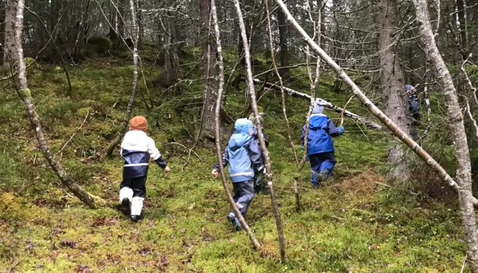 FRAMTIDIGE MILJØFORKJEMPERE: Håpet er at barna i Haukvatnet barnehage skal ta respekten de lærer for naturen med seg inn i voksenlivet. FRAMTIDIGE MILJØFORKJEMPERE: Håpet er at barna i Haukvatnet barnehage skal ta respekten de lærer for naturen med seg inn i voksenlivet.