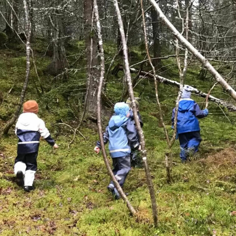 FRAMTIDIGE MILJØFORKJEMPERE: Håpet er at barna i Haukvatnet barnehage skal ta respekten de lærer for naturen med seg inn i voksenlivet. FRAMTIDIGE MILJØFORKJEMPERE: Håpet er at barna i Haukvatnet barnehage skal ta respekten de lærer for naturen med seg inn i voksenlivet.