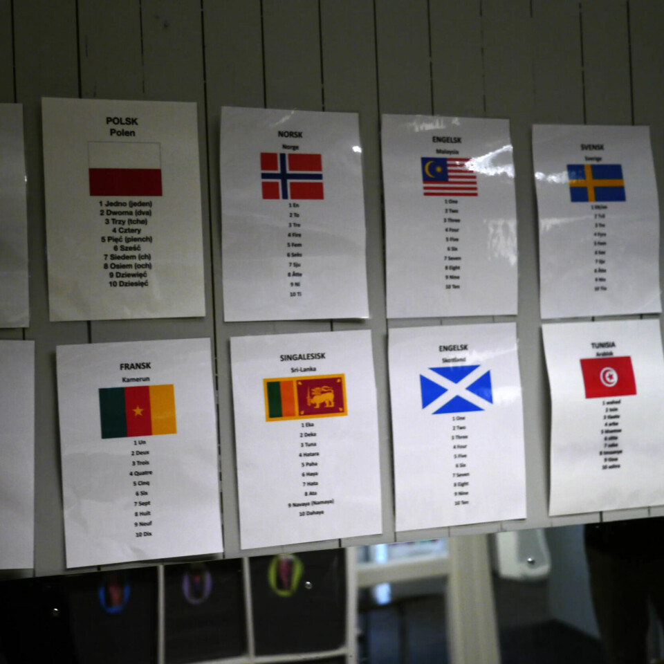 MANGFOLD: Nasjonalitene i bedriftsbarnehagen til Sintef. MANGFOLD: Nasjonalitene i bedriftsbarnehagen til Sintef.