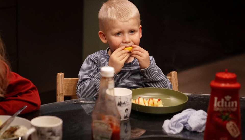IKKE REDD FOR Å SMAKE: Vetle (4) tar en real bit av sitronen. Han liker mat med smak. Potetmosen får en sprut med smaksforsterker. IKKE REDD FOR Å SMAKE: Vetle (4) tar en real bit av sitronen. Han liker mat med smak. Potetmosen får en sprut med smaksforsterker.