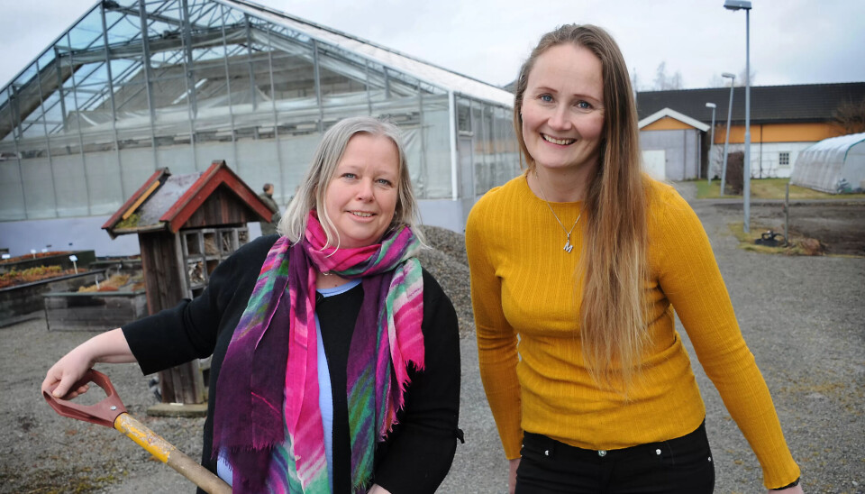 GRØNNE STUDENTER: Ingun og Miriam studerer på Norges grønne fagskole. GRØNNE STUDENTER: Ingun og Miriam studerer på Norges grønne fagskole.