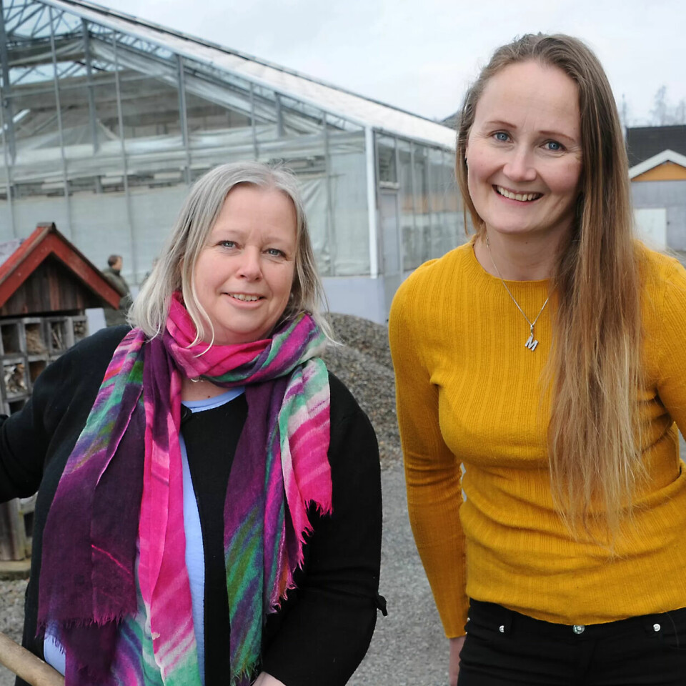 GRØNNE STUDENTER: Ingun og Miriam studerer på Norges grønne fagskole. GRØNNE STUDENTER: Ingun og Miriam studerer på Norges grønne fagskole.