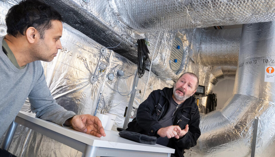 HASARDSPILL: Nå får Oslo-skolene vaktmestertilbake. Det var et hasardspill om kompetanse, sier vaktmester Trond Grande (t.h.) og kollega Kumar Arjaratnam. HASARDSPILL: Nå får Oslo-skolene vaktmestertilbake. Det var et hasardspill om kompetanse, sier vaktmester Trond Grande (t.h.) og kollega Kumar Arjaratnam.