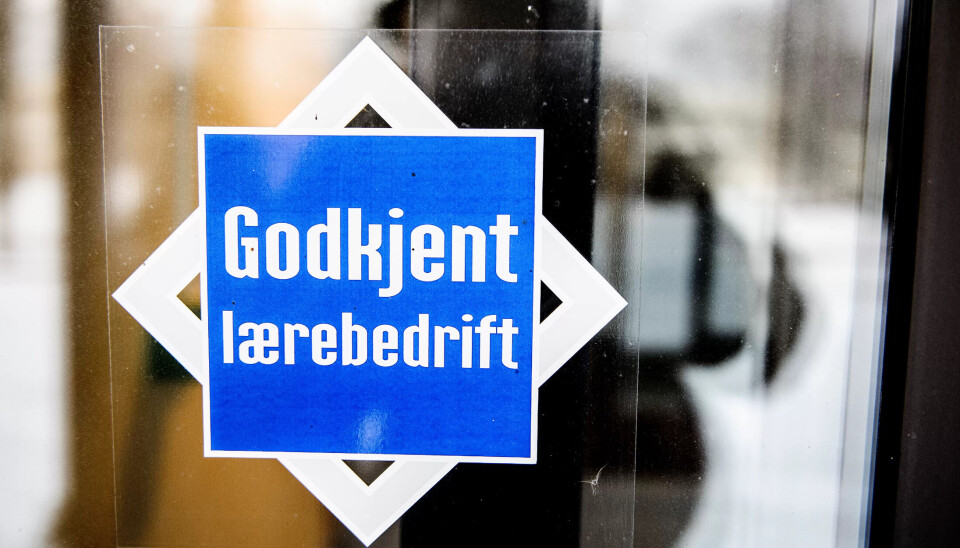 Rekordmange unge fikk læreplass i fjor