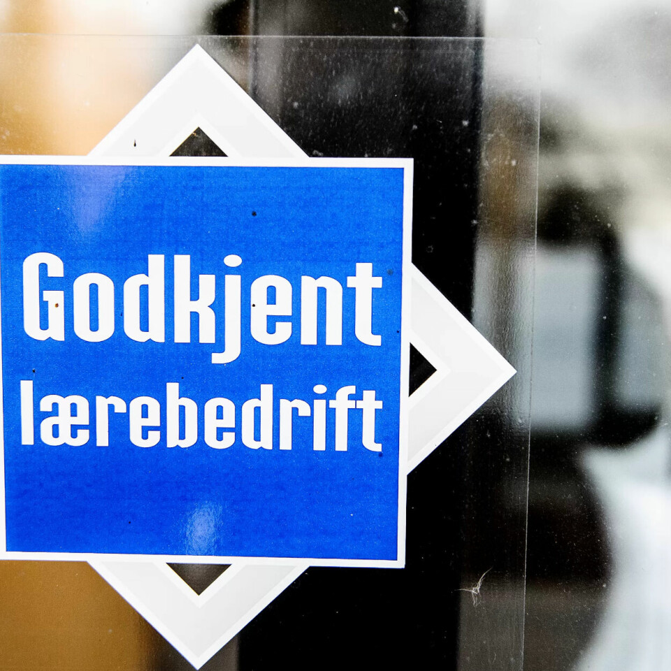 Rekordmange unge fikk læreplass i fjor
