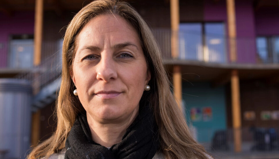 KRITISK: En ting jeg ikke forstår i denne saken, er hvorfor Steinar Krogstad drar inn at lavlønnsproblemer er mye større i andre land enn i Norge, skriver Synnøve Bakken. KRITISK: En ting jeg ikke forstår i denne saken, er hvorfor Steinar Krogstad drar inn at lavlønnsproblemer er mye større i andre land enn i Norge, skriver Synnøve Bakken.