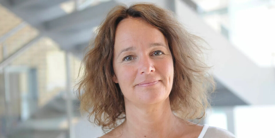 Elisabeth Longva, avdelingsdirektør DSB Elisabeth Longva, avdelingsdirektør DSB