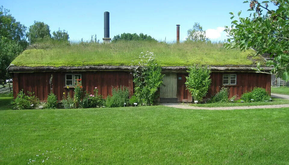 Grønne tak er framtida