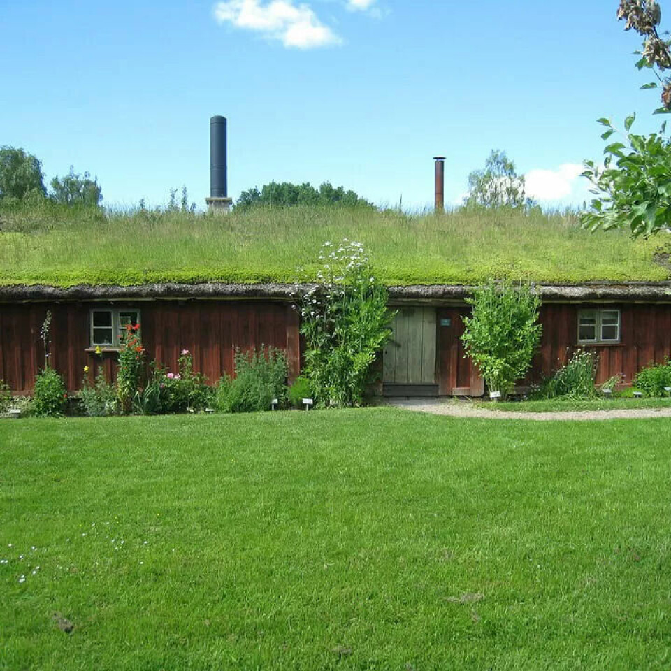Grønne tak er framtida