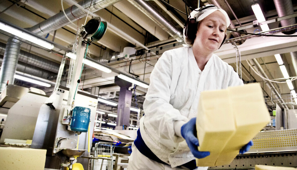 UNIK: Kristin Otterstad er blant 162 norske arbeidere som jobber sekstimersdag som permanent ordning. Alle ved Tine Heimdal i Trondheim. UNIK: Kristin Otterstad er blant 162 norske arbeidere som jobber sekstimersdag som permanent ordning. Alle ved Tine Heimdal i Trondheim.