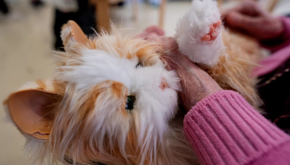 Bevisst bruk: Robotdyr, som denne katten, kan ha helsemessige fordeler, mener forskere. Men de sier også at bevissthet og etikk er sentralt når man gir slik velferdsteknologi til eldre personer med demens. Bevisst bruk: Robotdyr, som denne katten, kan ha helsemessige fordeler, mener forskere. Men de sier også at bevissthet og etikk er sentralt når man gir slik velferdsteknologi til eldre personer med demens.