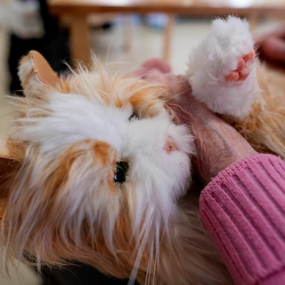 Bevisst bruk: Robotdyr, som denne katten, kan ha helsemessige fordeler, mener forskere. Men de sier også at bevissthet og etikk er sentralt når man gir slik velferdsteknologi til eldre personer med demens. Bevisst bruk: Robotdyr, som denne katten, kan ha helsemessige fordeler, mener forskere. Men de sier også at bevissthet og etikk er sentralt når man gir slik velferdsteknologi til eldre personer med demens.