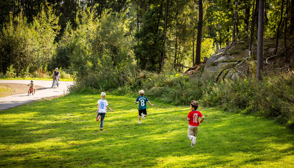 HYTTEBYGGERE: Willian, Fredrik og Emrik i fullt firsprang mot den sammenraste hytta i skogen. Planene er lagt for nytt byggverk. HYTTEBYGGERE: Willian, Fredrik og Emrik i fullt firsprang mot den sammenraste hytta i skogen. Planene er lagt for nytt byggverk.