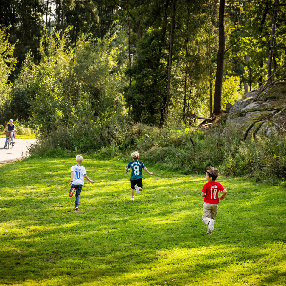 HYTTEBYGGERE: Willian, Fredrik og Emrik i fullt firsprang mot den sammenraste hytta i skogen. Planene er lagt for nytt byggverk. HYTTEBYGGERE: Willian, Fredrik og Emrik i fullt firsprang mot den sammenraste hytta i skogen. Planene er lagt for nytt byggverk.