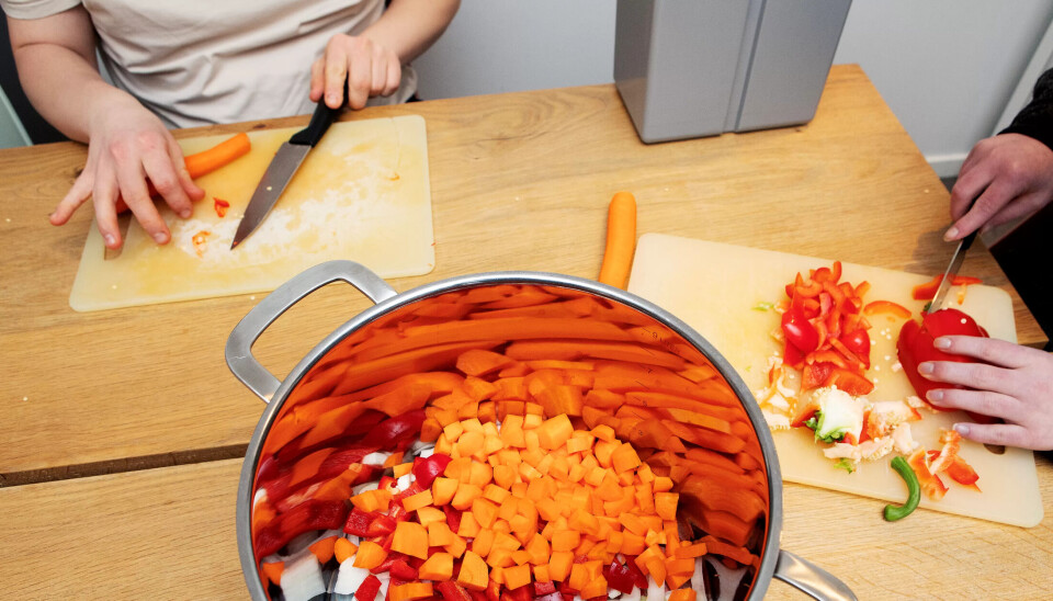 Mat fra planteriket er fremdeles sentralt i forslagene til de nye kostholdsrådene. Mat fra planteriket er fremdeles sentralt i forslagene til de nye kostholdsrådene.