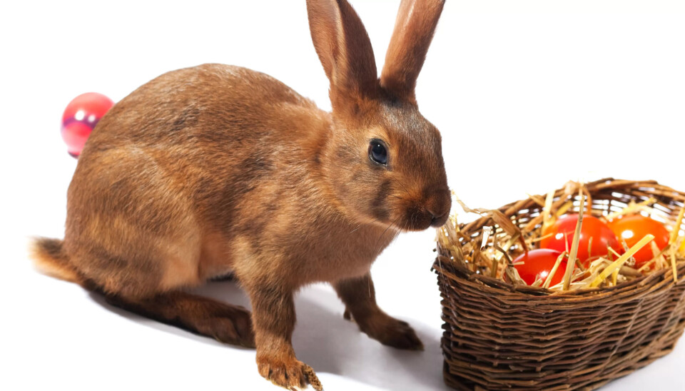 VARIERT: Påskens symboler peker i mange ulike retninger. VARIERT: Påskens symboler peker i mange ulike retninger.