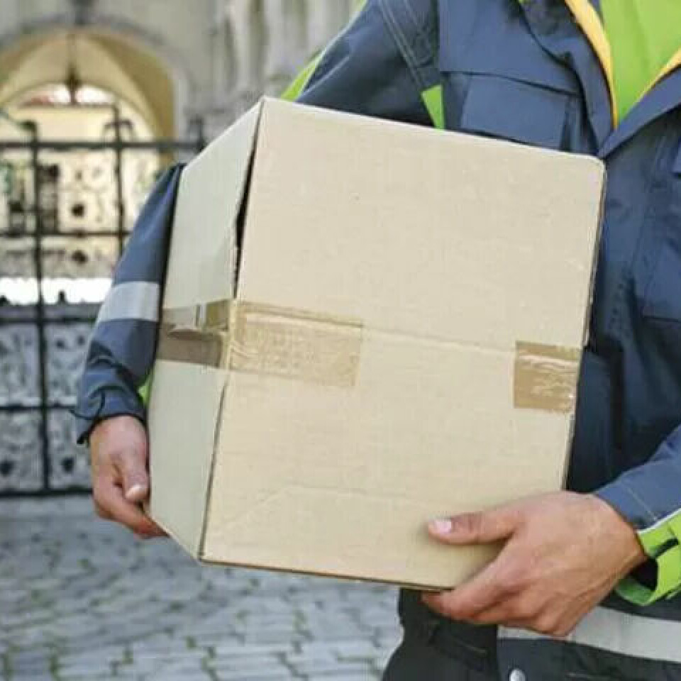 Mannen kledde seg ut som Bring-ansatt for å hente 19 elbil-ladere han hadde laget en falsk bestilling på. Ansatte ante uråd og varslet politiet. (Illustrasjonsfoto) Mannen kledde seg ut som Bring-ansatt for å hente 19 elbil-ladere han hadde laget en falsk bestilling på. Ansatte ante uråd og varslet politiet. (Illustrasjonsfoto)