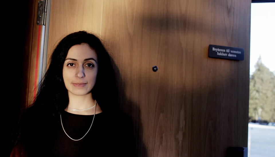 PRIVATISERING: Nestleder Hadia Tajik i Ap var én av privatiseringskritikerne i Stortinget onsdag. PRIVATISERING: Nestleder Hadia Tajik i Ap var én av privatiseringskritikerne i Stortinget onsdag.