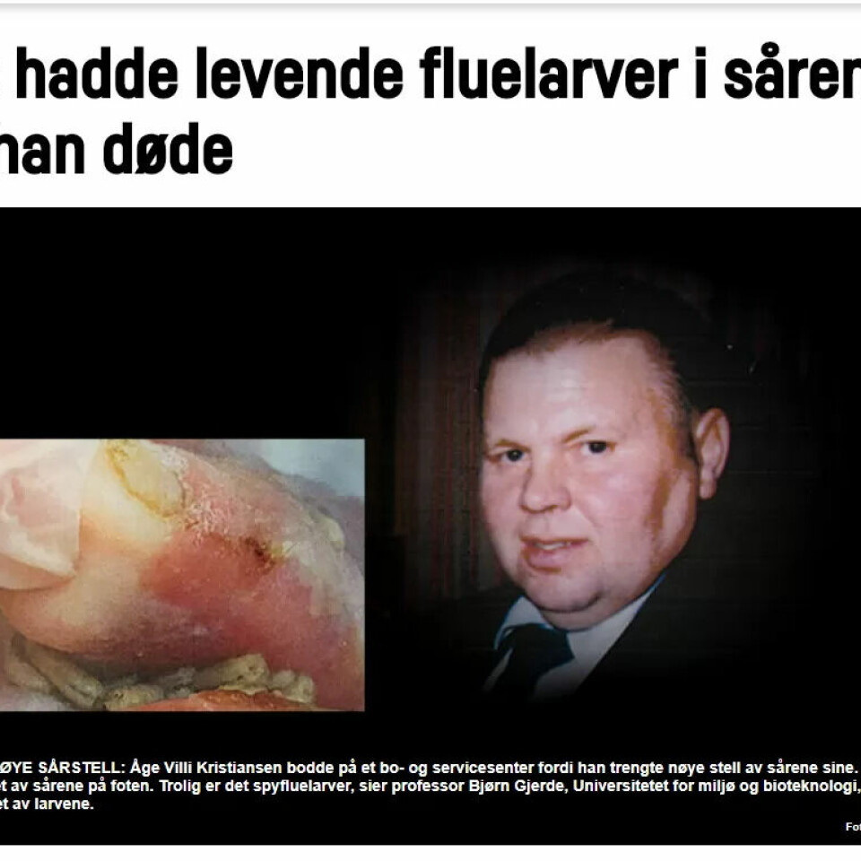 LARVER: Stell av sår er blitt aktualisert etter larve-skandalen i Moss. LARVER: Stell av sår er blitt aktualisert etter larve-skandalen i Moss.