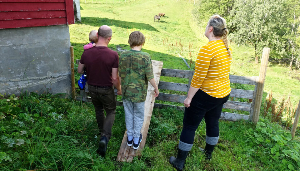 På gården i Rana går fars og mors arbeidsdag med til å være med sønnen. Det krever så mye at livsgrunnlaget er i ferd med å forsvinne. Hestene må blant annet avlives og selges i høst. På gården i Rana går fars og mors arbeidsdag med til å være med sønnen. Det krever så mye at livsgrunnlaget er i ferd med å forsvinne. Hestene må blant annet avlives og selges i høst.