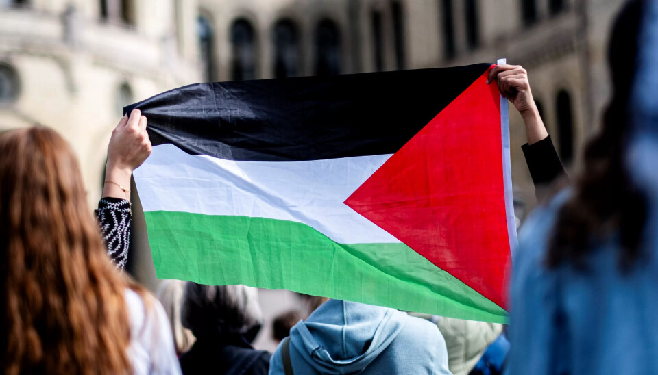 FLAGG: De to voksne kvinnene skal ha dekorert veggene med palestinaflagg. (Illustrasjonsfoto) FLAGG: De to voksne kvinnene skal ha dekorert veggene med palestinaflagg. (Illustrasjonsfoto)