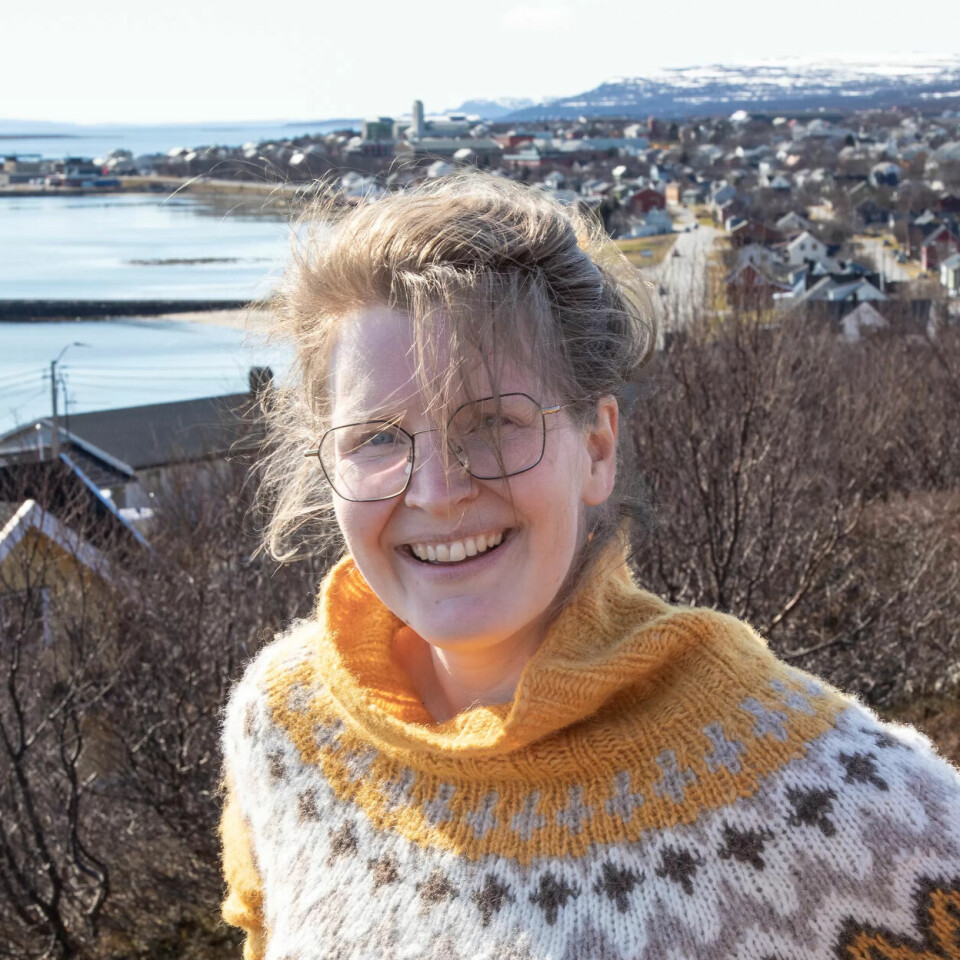 TØYSET: På kontoret til Silje Ærø har de tullet mye med innbruddet. TØYSET: På kontoret til Silje Ærø har de tullet mye med innbruddet.
