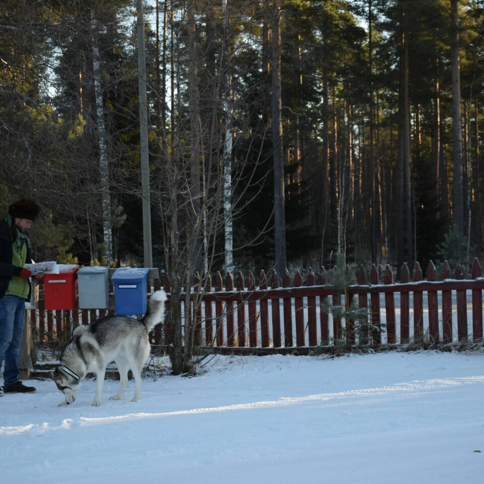 LYKKEDAG: Juha Järvinen er en av de 2000 arbeidsløse i Finland som fikk tilbud om borgerlønn i stedet for dagpenger. LYKKEDAG: Juha Järvinen er en av de 2000 arbeidsløse i Finland som fikk tilbud om borgerlønn i stedet for dagpenger.