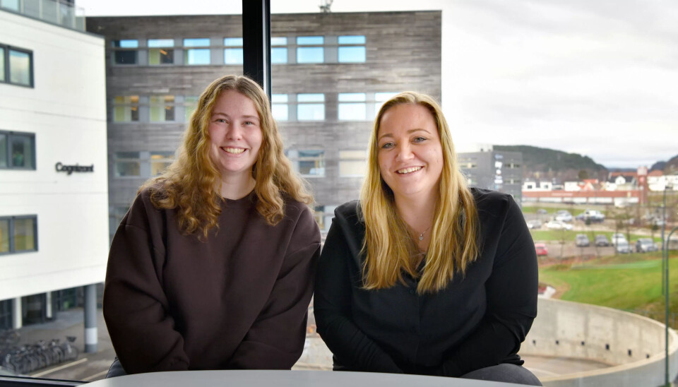 KUNDERÅDGIVERE: - Godt miljø og variert arbeid gjør det lett å trives, sier rådgiverne Marie Eldhuset og Martha Nekstad i Kristiansand. KUNDERÅDGIVERE: - Godt miljø og variert arbeid gjør det lett å trives, sier rådgiverne Marie Eldhuset og Martha Nekstad i Kristiansand.