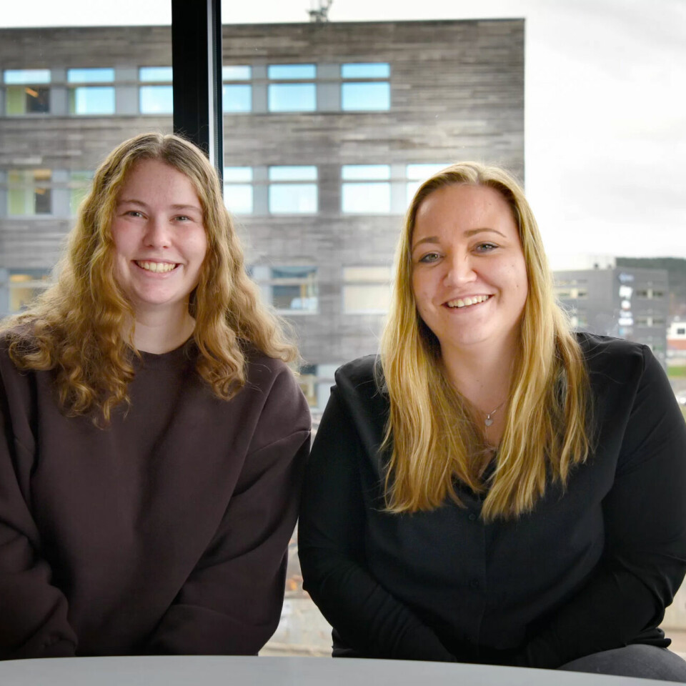 KUNDERÅDGIVERE: - Godt miljø og variert arbeid gjør det lett å trives, sier rådgiverne Marie Eldhuset og Martha Nekstad i Kristiansand. KUNDERÅDGIVERE: - Godt miljø og variert arbeid gjør det lett å trives, sier rådgiverne Marie Eldhuset og Martha Nekstad i Kristiansand.