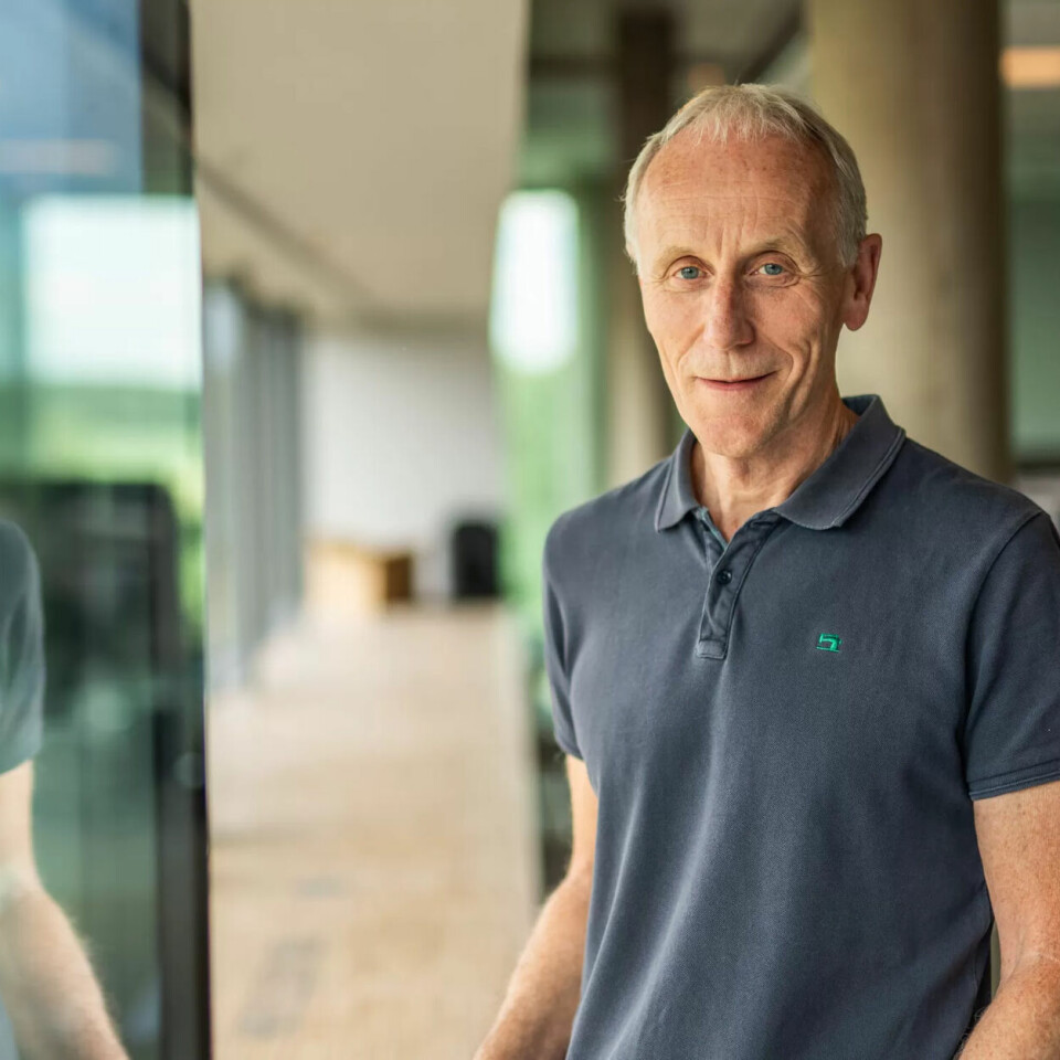 EKSPERT: Hans Gjermund Gauslaa har jobba med arbeidsrett i nesten 30 år. EKSPERT: Hans Gjermund Gauslaa har jobba med arbeidsrett i nesten 30 år.