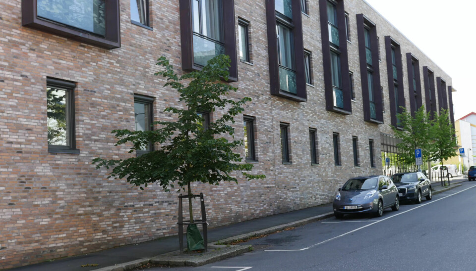 Fylkesmannen i Østfold åpner tilsynssak mot Moss kommune etter Norlandia-skandalen