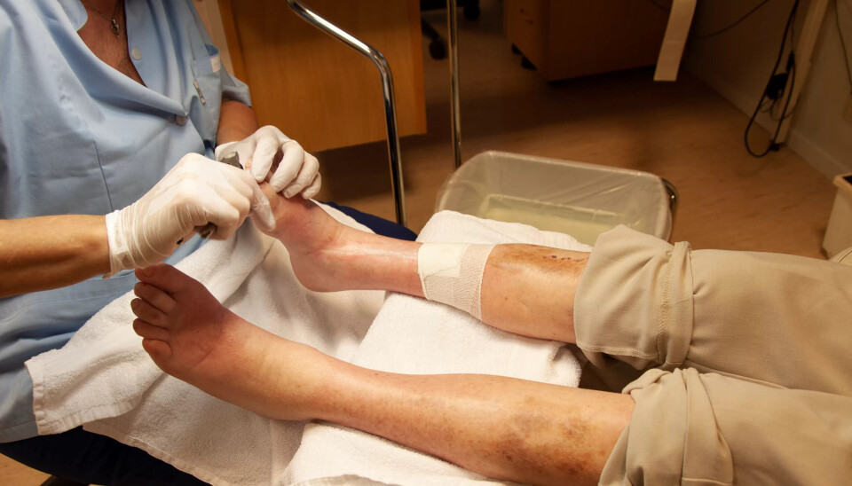 Rødt vil ha velferdsprofitten av veien, og varsler storrengjøring i arbeidslivet. Rødt vil ha velferdsprofitten av veien, og varsler storrengjøring i arbeidslivet.