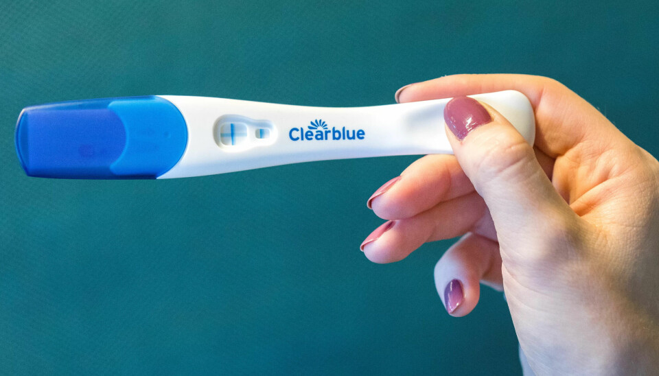 ABORT: Mange nordmenn vil heve abortgrensen. ABORT: Mange nordmenn vil heve abortgrensen.
