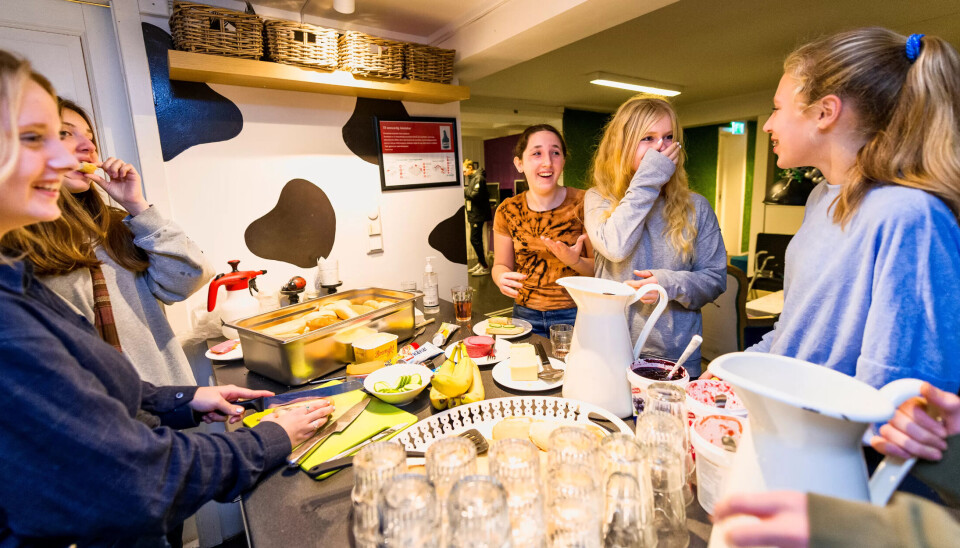 KVELDSMAT: Michelle Austad, Isabell Gonzales, Julie Jakobsson-Cassidy, Mathilda Kristiansen og Ellie Klungland smører mat midt i knisingen. KVELDSMAT: Michelle Austad, Isabell Gonzales, Julie Jakobsson-Cassidy, Mathilda Kristiansen og Ellie Klungland smører mat midt i knisingen.