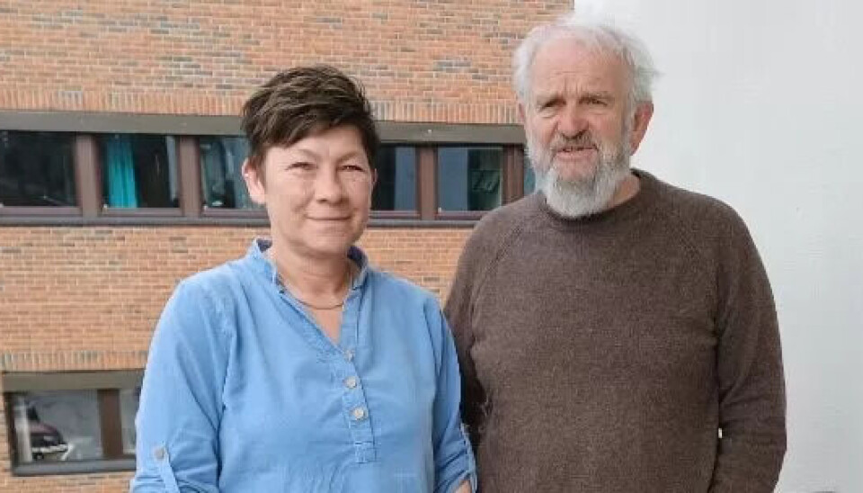 Snart er en tariffavtale med Fagforbundet på plass på Mestringshusene i Bolkesjø. Det er Gunn Sissel Hagen og Arvid Lia glade for. Snart er en tariffavtale med Fagforbundet på plass på Mestringshusene i Bolkesjø. Det er Gunn Sissel Hagen og Arvid Lia glade for.
