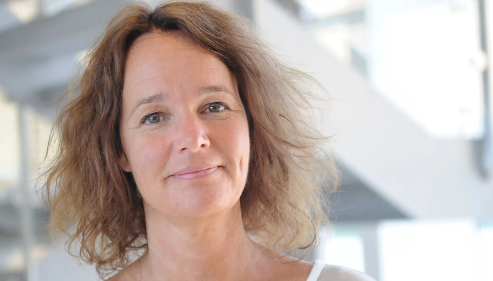 Elisabeth Longva, avdelingsdirektør for samordning og beredskap i DSB ber alle om å planlegge for et stort frafall av arbeidskraft. Elisabeth Longva, avdelingsdirektør for samordning og beredskap i DSB ber alle om å planlegge for et stort frafall av arbeidskraft.
