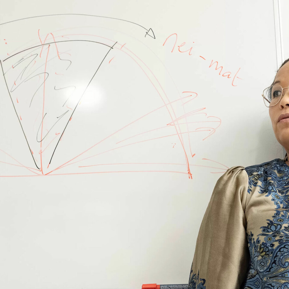GLEMT: Trine Tetlie Eik-Nes har starta en behandling for det hun mener er en glemt og stigmatisert gruppe i helsevesenet: mennesker med overspisingslidelse. GLEMT: Trine Tetlie Eik-Nes har starta en behandling for det hun mener er en glemt og stigmatisert gruppe i helsevesenet: mennesker med overspisingslidelse.