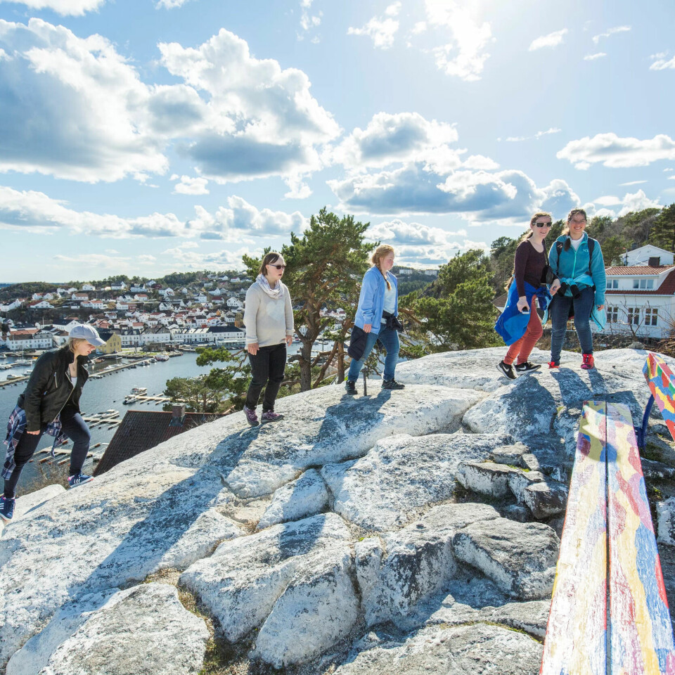RISØRFLEKKEN: På knausen over Risør leter jentene etter en skatt. Inga og Hilde Elise øverst, deretter Vilde, Maria og Sol. RISØRFLEKKEN: På knausen over Risør leter jentene etter en skatt. Inga og Hilde Elise øverst, deretter Vilde, Maria og Sol.